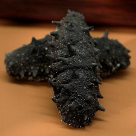 晓芹 大连干海参 110g 33-40只 辽刺参 海参干货礼盒 /粮油调味 /南北干货 /干海参