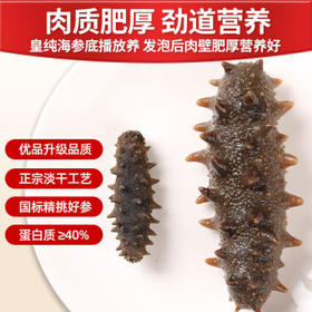 皇纯大连淡干海参干货 250g25-45只优品有机底播辽刺参礼盒 海鲜特产 /粮油调味 /南北干货 /干海参