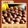 东北长白山原生态大榛子 商品缩略图2