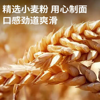 李先生 半干面圆面 非油炸方便面 凉拌炒面挂面 方便速食390g/袋3人份 /粮油调味 /方便食品 /有料煮面 商品图7