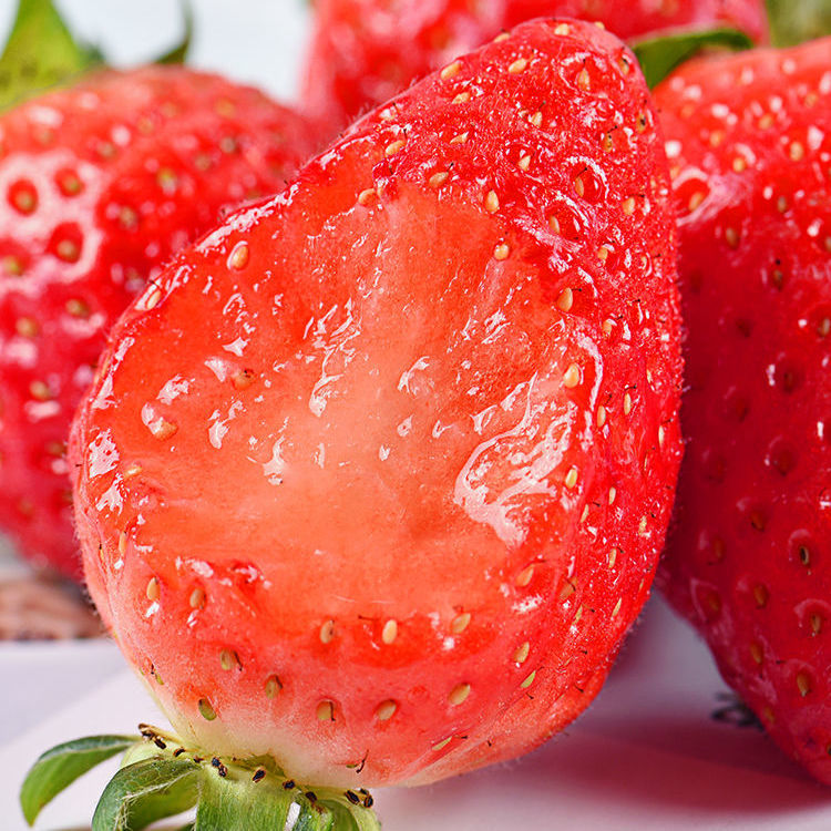 【四川好物】大凉山奶油草莓  1.4斤/2.4斤/3斤/4.5斤  京东/顺丰直达