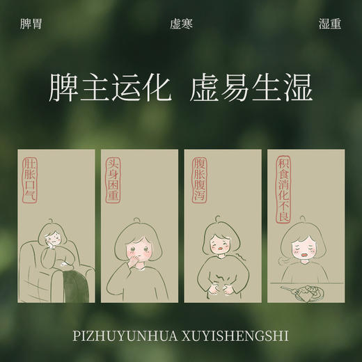 【真不二】泽泻白芍贴腹贴加速中焦运转打开排水通道告别腹袒身材管理 商品图1