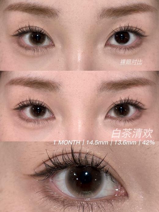 mixmixx月抛 白茶清欢 棕 14.2mm 非离子 商品图2