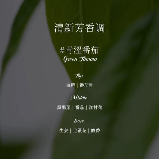 OAK & RYE/悠长假期系列香薰喷雾 商品图4