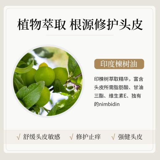 My Organics 苦楝树头皮舒痒维稳护发油 章小蕙推荐 100ml 商品图2