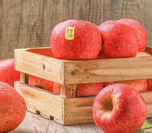 静宁红富士苹果4个装（2.2斤左右） 商品图0