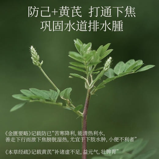 【大餐救星 全身贴贴套组】白芍腹贴+黄芪腿贴+轻盈腰贴（2个套组可选「14贴/盒」）Y 商品图3