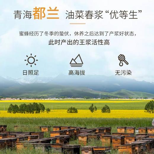 【汪氏】央视认证蜂王浆片剂含片30g 3.0 商品图2