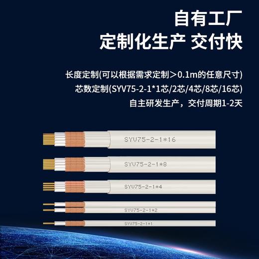 爆款★热销@【2M两兆E1同轴电缆】SYV75-2-1*1/2/4/816二四八十六芯二64编屏蔽无氧铜导体视频线国标射频DDF信号线/E1电缆 2M线 BNC插头 CC4 8芯2兆线通讯机房L9插头 商品图13