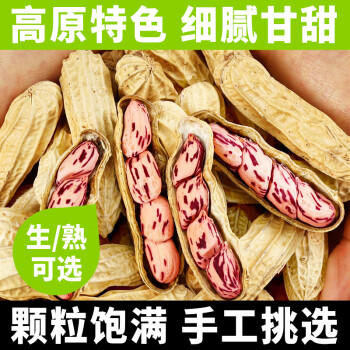 滇品客云南七彩花生带壳生1斤花生米新货晒干坚果成人解馋休闲零食下酒 /粮油调味 /杂粮 /谷米类 商品图5
