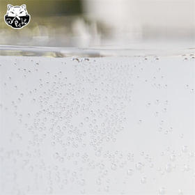 日食记气泡米酒750ml海盐荔枝果酒养生酒起泡酒低度劲爽微醺小甜酒 /酒类 /黄酒/养生酒 /养生酒