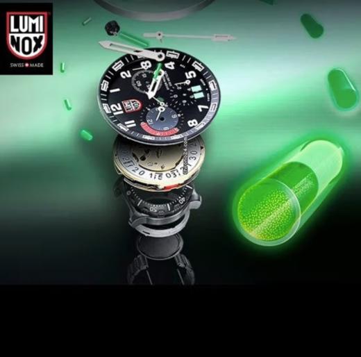 【B1南亚】雷美诺时（Luminox）经典海龟 瑞士手表 鲁美诺斯军表运动潜水男表44mm表盘 XS.0321.L 黑白色 商品图6