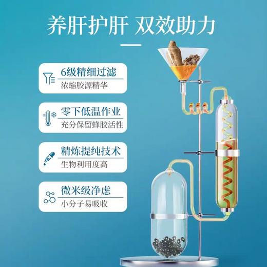 【汪氏】蜂胶葛根胶囊护肝片30g 商品图1