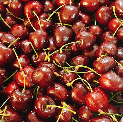 智利 桑缇娜小蜜蜂 单J车厘子  | 进口水果 商品图1