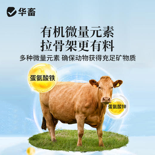 华畜牛羊壮1kg牛羊专用拉大骨架促生长 商品图2
