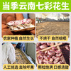 滇品客云南七彩花生带壳生1斤花生米新货晒干坚果成人解馋休闲零食下酒 /粮油调味 /杂粮 /谷米类 商品缩略图1