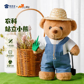 【农科站立小熊】创意毛绒小熊公仔儿童玩具服装可脱送礼礼物