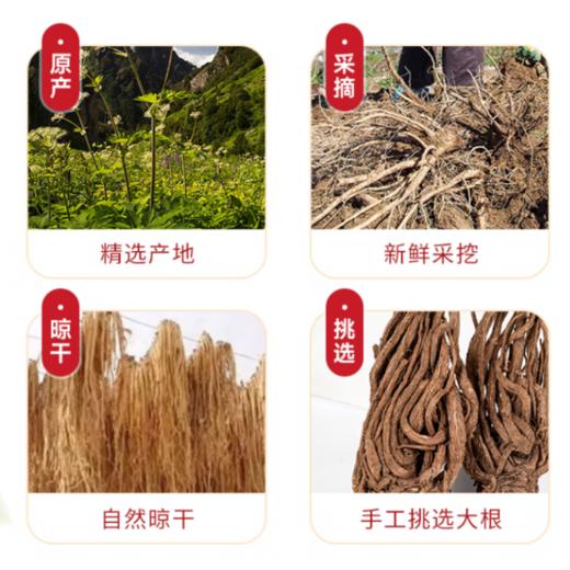 【密封罐】神农金康 岷县当归片头片200g/储物罐装 原生态真滋补 商品图2