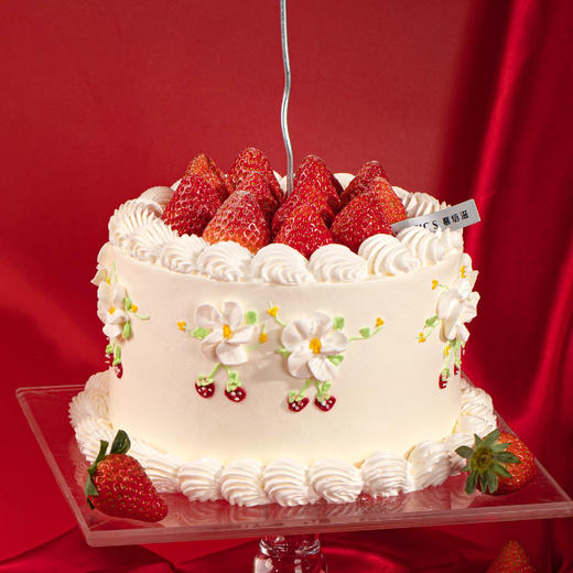 红颜雪顶 商品图0