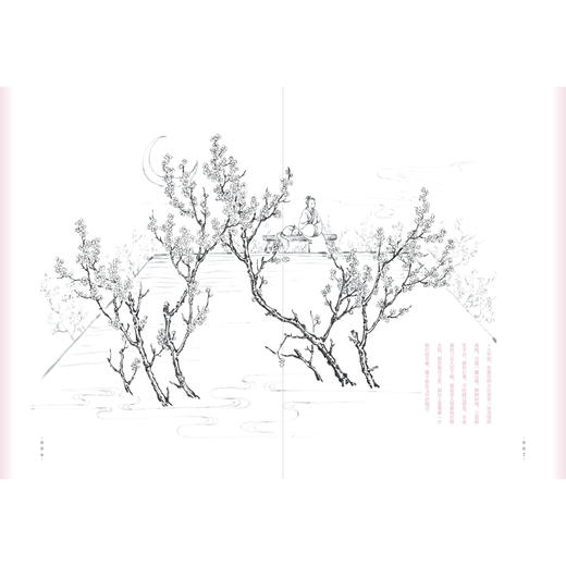 《自然会有答案》林语尘著 首部自然随笔和手绘画集 早鸟价 商品图5