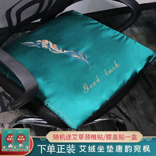 【9档定时调温】唐韵宛枫艾灸仪电加热绸缎坐垫 下单正装既送颈椎贴或膝盖贴一盒（15片） 商品图0