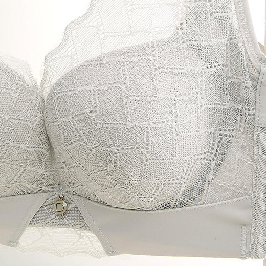 XDE-Q92929  蚕茧杯聚拢防下垂侧收调整记忆软圈定型桑蚕丝蛋白文胸（单件） 商品图4