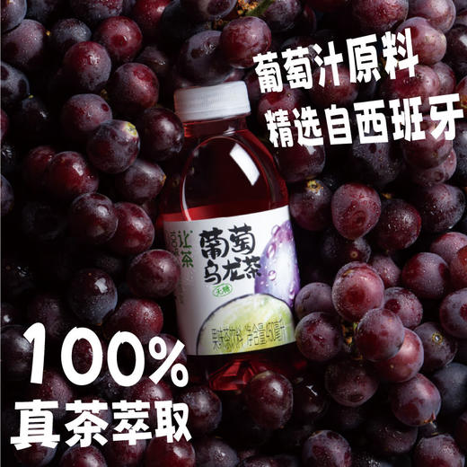 让茶无糖葡萄乌龙果味茶饮料450ml*15瓶整箱装 商品图4