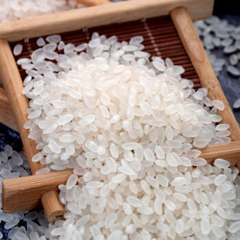 营田 大米10斤盘锦大米蟹田米东北大米当季新米铝箔避光真空包装 /粮油调味 /米 /长粒香米 商品图4