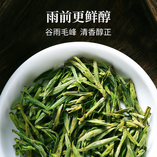 2025新茶上市徽六一级黄山毛峰茶叶春茶绿茶徽青70g 商品图1