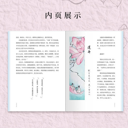《自然会有答案》林语尘著 首部自然随笔和手绘画集 早鸟价 商品图2