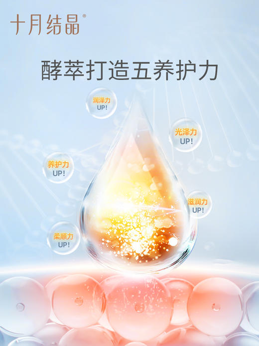 十月结晶酵萃柔润发膜 SH1500 商品图1