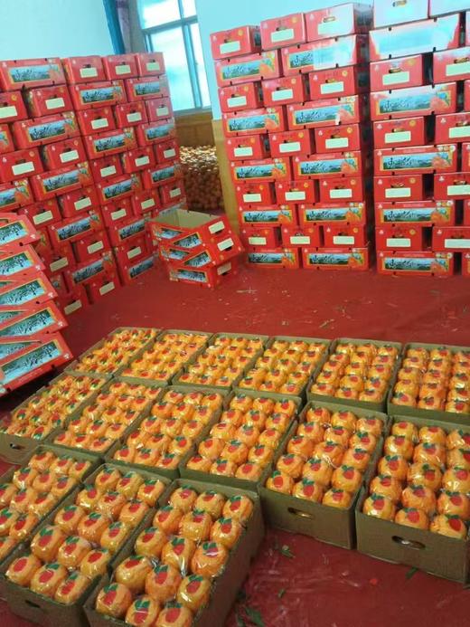 清江椪柑精品果礼盒装当季新鲜水果现摘现发精选80以上精品大果 商品图4
