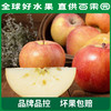PAGODA百果园 阿克苏蜜心富士（小）8斤彩箱装 商品缩略图3