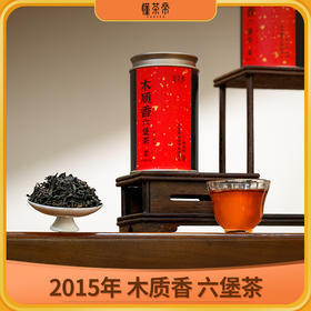 懂茶帝老六堡茶大师茶韦洁群老师2015年木质香陈香六堡茶60g/罐