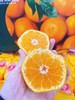 东海爆橘一箱 商品缩略图2