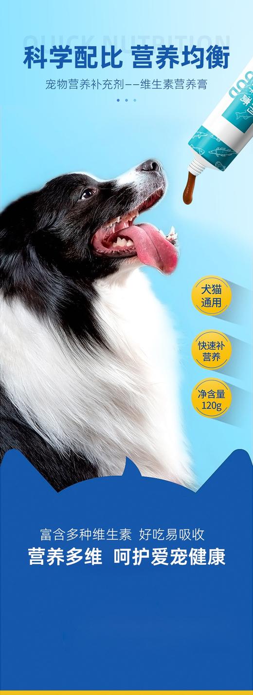 宠物专用化毛膏120克 商品图2