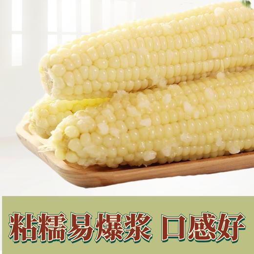 哈粮优品甜糯鲜食玉米 商品图1