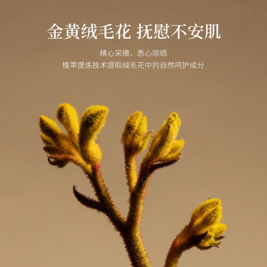 【会员购买送10倍积分】花皙蔻绒毛花舒柔澄净洁面露130ml 商品图4