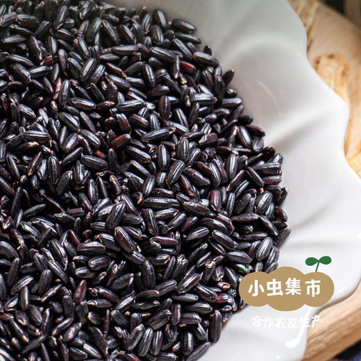 生态老品种黑籼米 1斤/5斤（黑米）| 合作农友生产，产自贵州贵阳高坡，生产者：杨婧懿 *【公平贸易农人定价】 商品图6