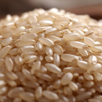 万谷食美 精选糙米2斤东北长粒香糙米 杂粮杂粮粥米 含胚芽 /粮油调味 /杂粮 /谷米类 商品图3