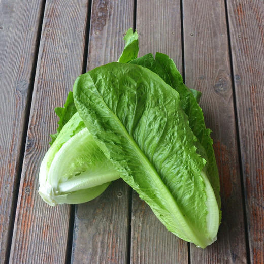 罗马生菜  300g/份 （庄园自产，暂无有机标）全国配送（偏远地区除外） 商品图1