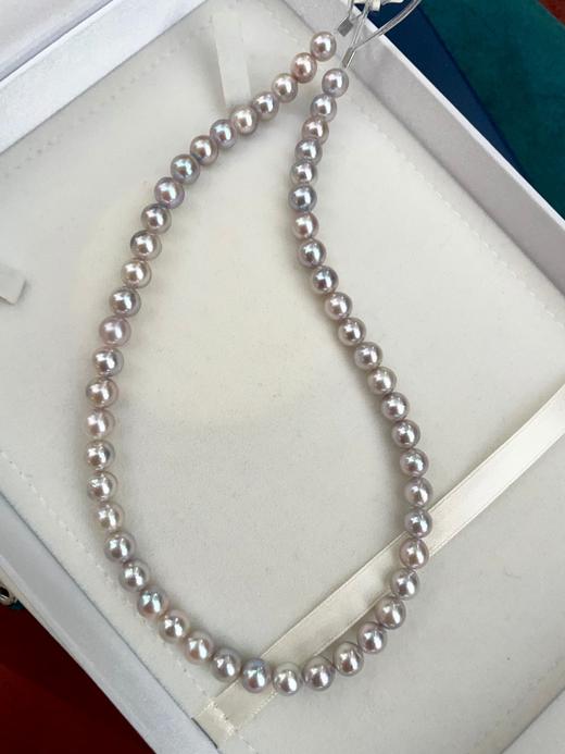 7mm-8mm akoya珍珠项链 商品图2