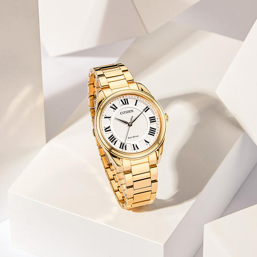 VIP-EM0973-55A 西铁城Citizen西铁城官方复古光动能情侣对表手表AW1694-50A（可能无电） 商品图1
