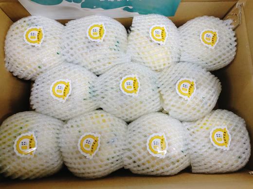 小箱牛奶阿克苏一箱 商品图1