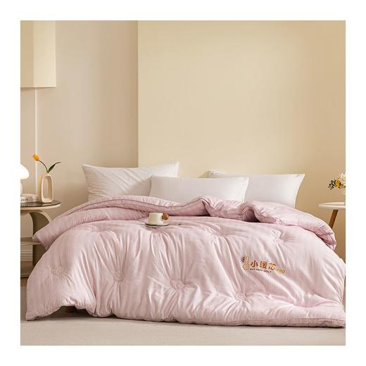 小暖芯pro加厚冬被 商品图2