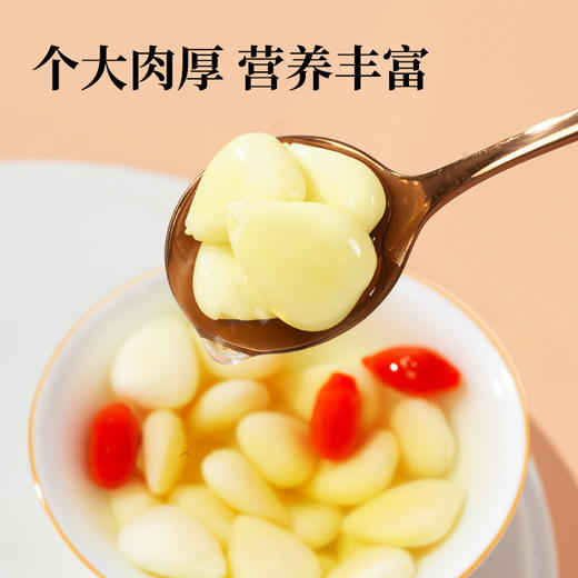 【密封罐】神农金康 南杏仁300g/罐 原生态真滋补喝护家人健康 商品图2