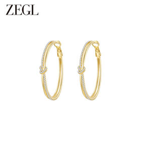 ZEGL金色素圈耳圈2024新款爆款大圈耳环女轻奢高级感银针圈圈耳饰