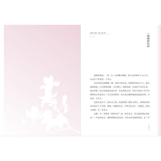 《自然会有答案》林语尘著 首部自然随笔和手绘画集 早鸟价 商品图3