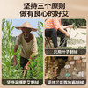 老李说艾1.9cm粗纯艾条 商品缩略图1