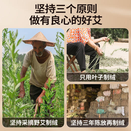 老李说艾1.9cm粗纯艾条 商品图1